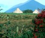 Mountain in Achill Island County Mayo Ireland