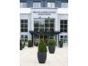 Breaffy Woods Hotel, Castlebar