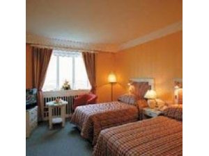 Park Inn Shannon