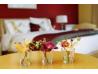 Sligo Park Hotel and Leisure Club, Sligo