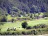 Woodenbridge Hotel & Lodge