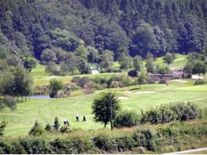 Woodenbridge Hotel & Lodge